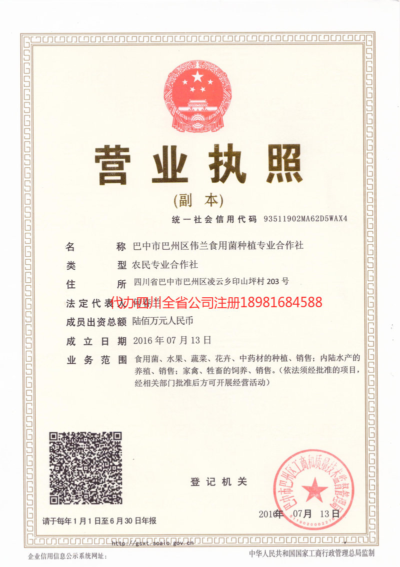 平顶山平顶山伟兰食用菌种植专业合作社